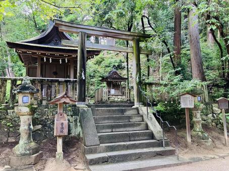 石上神宮 出雲建雄神社 猿田彦神社 石上神宮 出雲建雄神社 猿田彦神社 石上神宮,奈良県天理市,十六社の写真素材