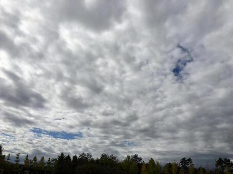 雲 雲の写真