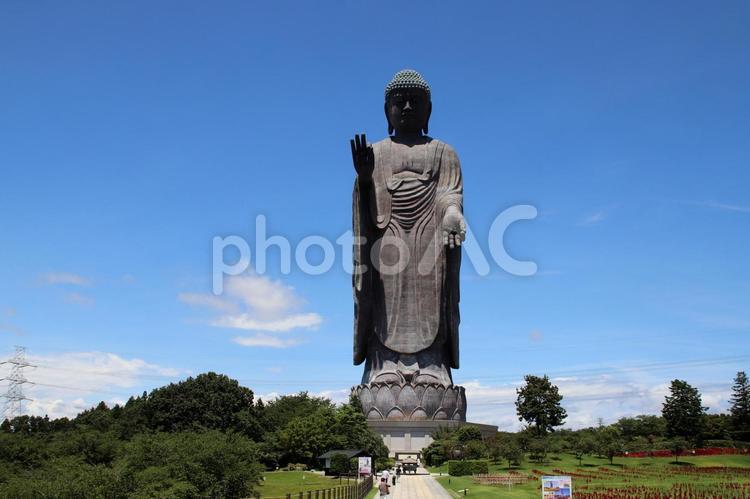牛久市の世界一の牛久大仏 牛久大仏,牛久市,大仏の写真素材