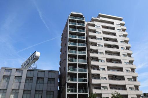 大森町 街並み 大森町 街並み 大森町,不動産,大田区の写真素材