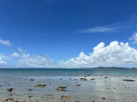 沖縄の海 沖縄,海,青空の写真素材
