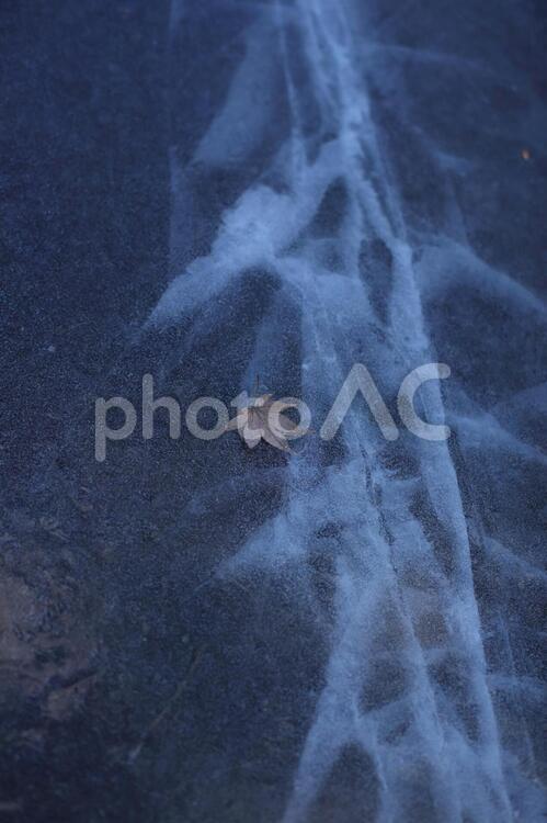 氷の世界 凍結,氷,モミジの写真素材