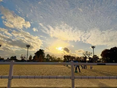 馬事公苑のサンセット 青空,空,サンセットの写真素材