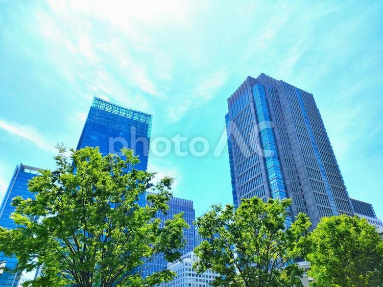 東京のビル街と日差しと空 東京,ビル街,青空の写真素材