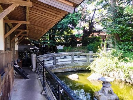 白蛇辯財天の庭 白蛇辯財天の庭 日本庭園,庭,境内の写真素材