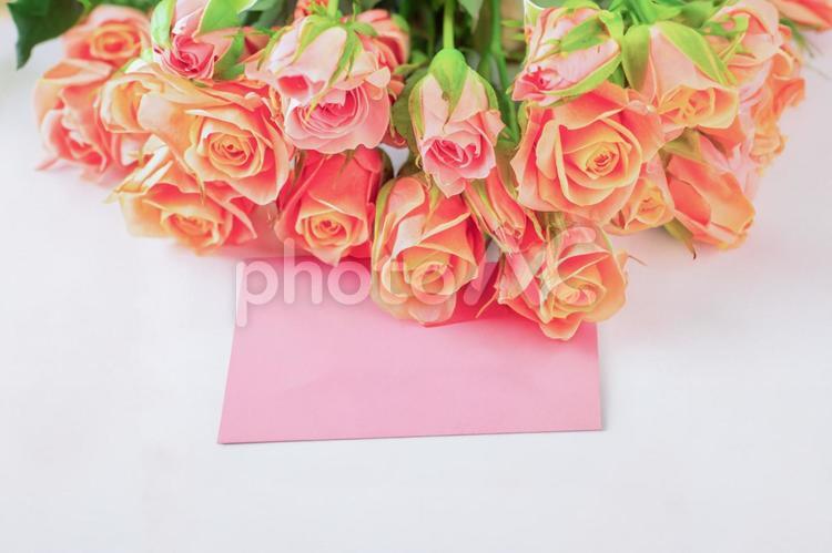 薔薇の花とメッセージカード バラ,薔薇の花,メッセージカードの写真素材