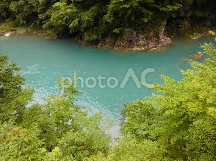 抱返り渓谷　初夏 河川,清流,新緑の写真素材