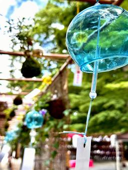 夏の音色 夏の音色の写真