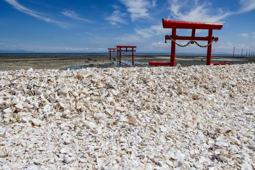 貝殻の山と海中鳥居 貝殻,沢山,殻の写真素材