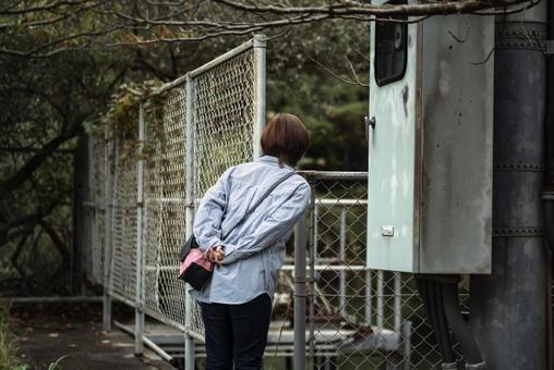 <素材>朝の公園を散歩中に池を覗く女性 <素材>朝の公園を散歩中に池を覗く女性の写真