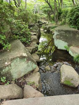 公園の小川 公園の小川 小川,公園,自然の写真素材