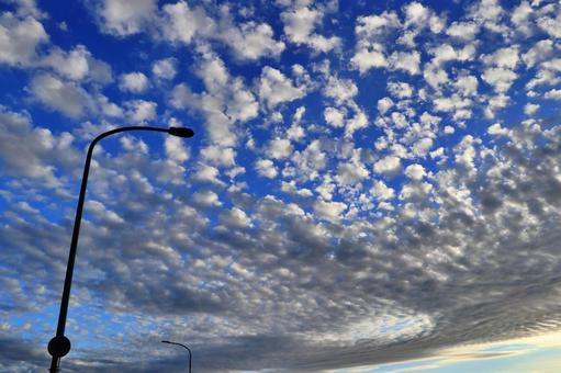 夕焼け空と鱗雲と街灯 夕焼け空と鱗雲と街灯の写真