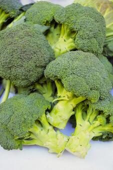 ブロッコリー ブロッコリー,野菜,採れたての写真素材