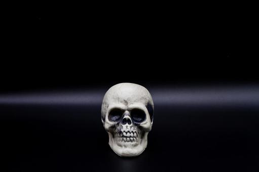 Photo, skull, bones, terror, 