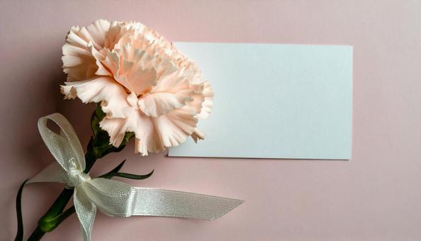 ピンクのカーネーション・メッセージカード ピンクのカーネーション・メッセージカードの写真