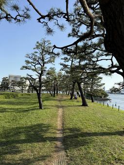 2025年春 昼間の東京お台場の風景 2025年春 昼間の東京お台場の風景 都心,さわやか,りんかい線の写真素材