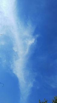 青空 青空の写真