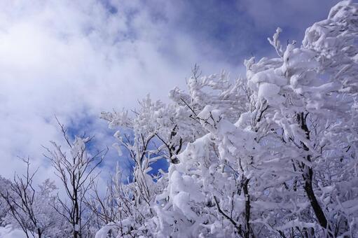 鳥取大山の冬登山5　雪山素材　風景 雪山,登山,危険の写真素材