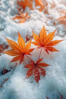 季節の変わり目：雪景色の紅葉の写真