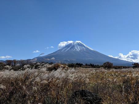 秋の朝霧高原 富士山,冬,自然の写真素材