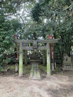 玉垂宮・佐野神(縦) 玉垂宮・佐野神(縦) 玉垂宮,佐野神,サイの神の写真素材