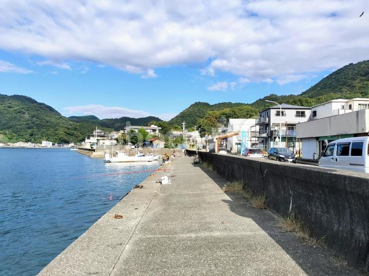 静岡県沼津市内浦長浜　内浦湾に面した岸辺 内浦湾,長浜,静岡県の写真素材