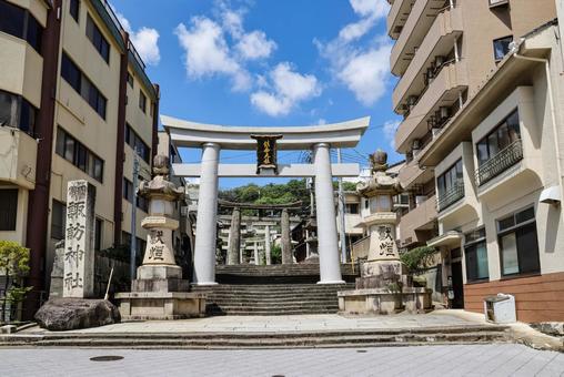 諏訪神社 鳥居と社号碑 諏訪神社 鳥居と社号碑 諏訪神社,お諏訪さん,神社の写真素材