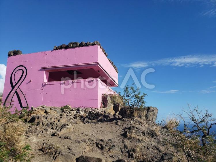 ピンクのピルボックス 景色,自然,ピルボックスの写真素材