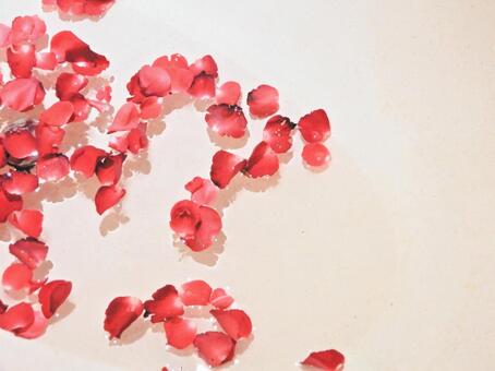 水に浮かんだバラの花びら コピースペース,背景,赤の写真素材