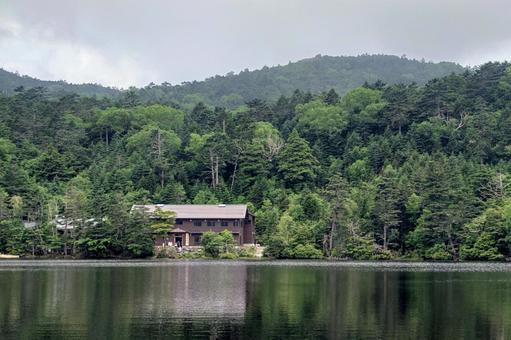 白駒の池 白駒の池 白駒の池,八ヶ岳,緑の写真素材