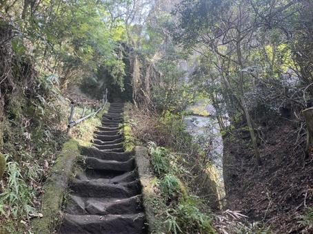 鋸山の石段と森林の風景 鋸山の石段と森林の風景の写真