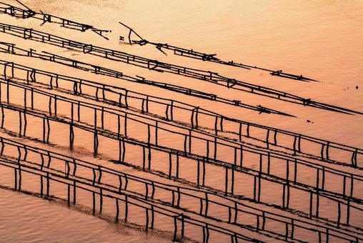 Photo, sunset, oyster, oyster shelf, 