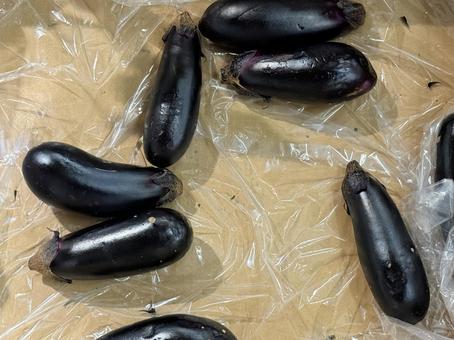 なす 野菜,食材,スーパーの写真素材