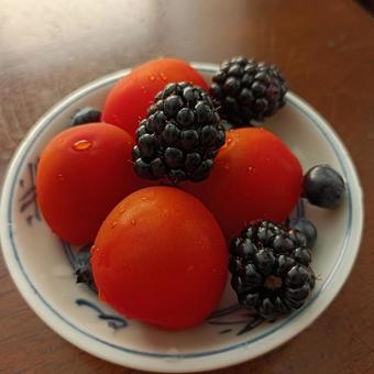 旬 旬 旬,美味い,収穫の写真素材