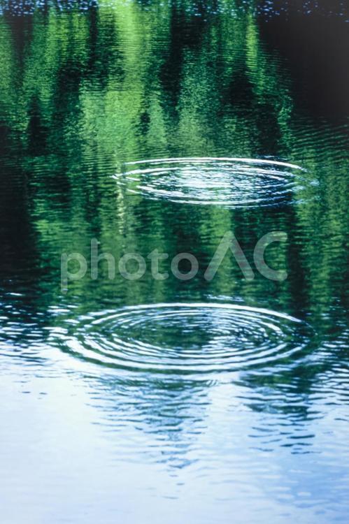 水紋と林映り込み18 水,波,波紋の写真素材