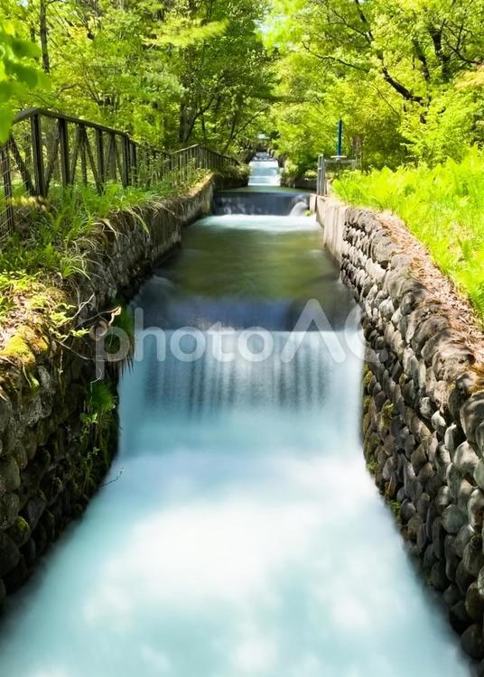 緑と水路（国営アルプスあづみの公園） 水路,人工河川,流れる水の写真素材