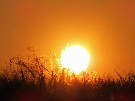 夕焼け空の風景 夕暮れ,空,雲の写真素材