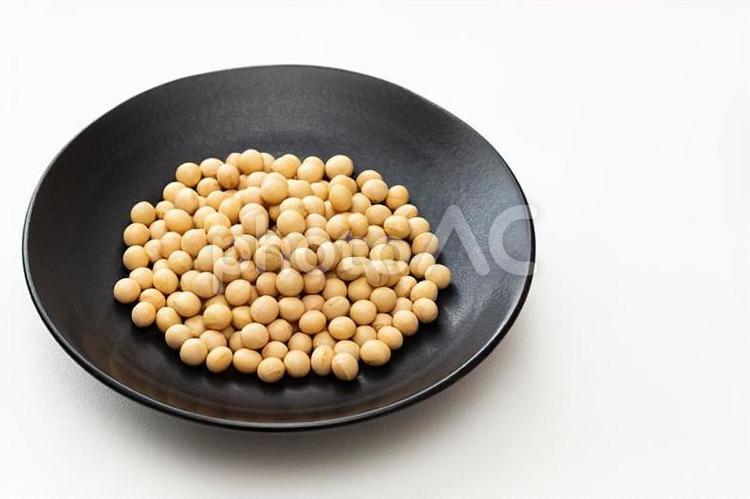 白背景に大豆 大豆,豆類,食べ物の写真素材