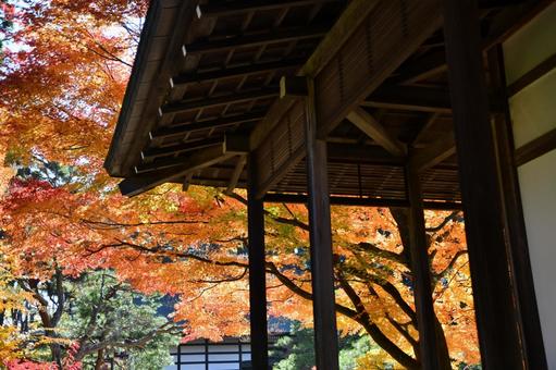 赤く染まる山寺の境内 赤く染まる山寺の境内 紅葉,秋,山寺の写真素材