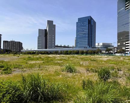 お台場周辺の街並み お台場周辺の街並み 東京都,駐車場,青海の写真素材