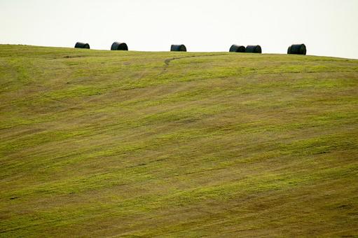 牧草収穫後に麦わらロールが並ぶ丘陵地 牧草収穫後に麦わらロールが並ぶ丘陵地 丘,牧場,干し草の写真素材