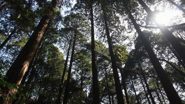 風景_00026 風景_00026の写真