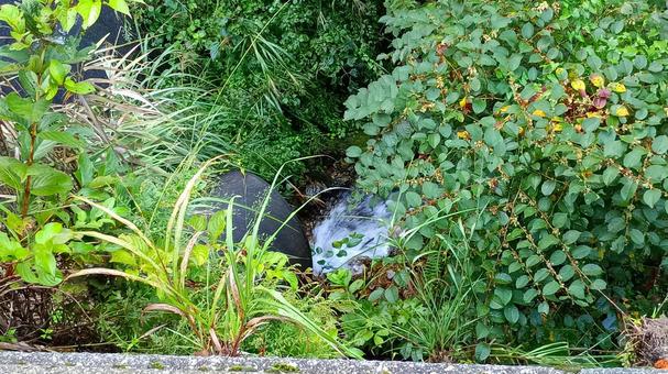 枝折峠途中にある小さな滝と小川 滝,小川,風景の写真素材