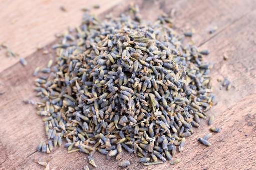 ドライラベンダー ラベンダー,ハーブ,ドライの写真素材