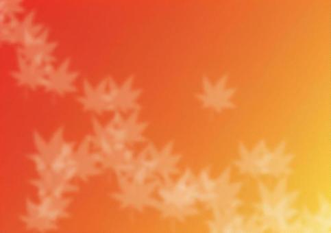 紅葉の壁紙の写真