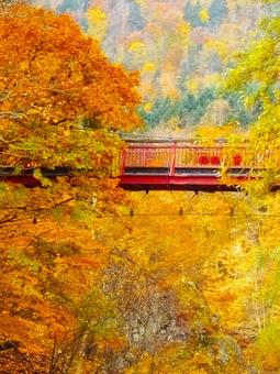 晩秋の定山渓温泉 定山渓温泉,秋,二見吊り橋の写真素材