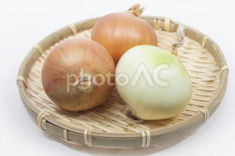 北見黄　たまねぎ 北見黄,たまねぎ,玉ねぎの写真素材