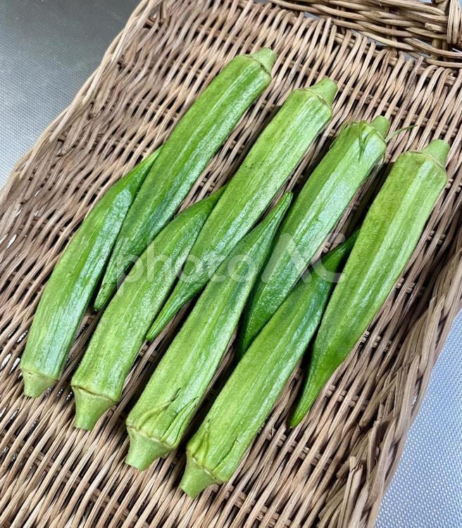 野菜シリーズ　とりたてオクラ オクラ,収穫,夏野菜の写真素材