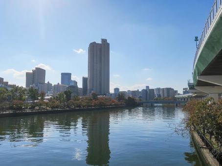 大川_1 大川,淀川,旧淀川の写真素材