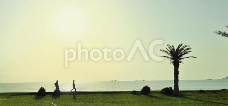 風景　千葉県　館山市 風景,街並み,千葉県の写真素材